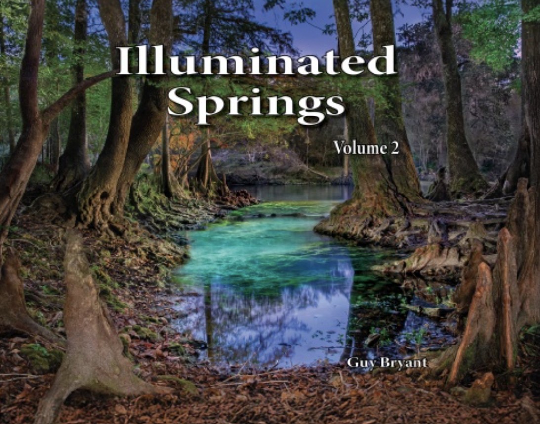 Illuminated Springs - Volume 2 Book Cover