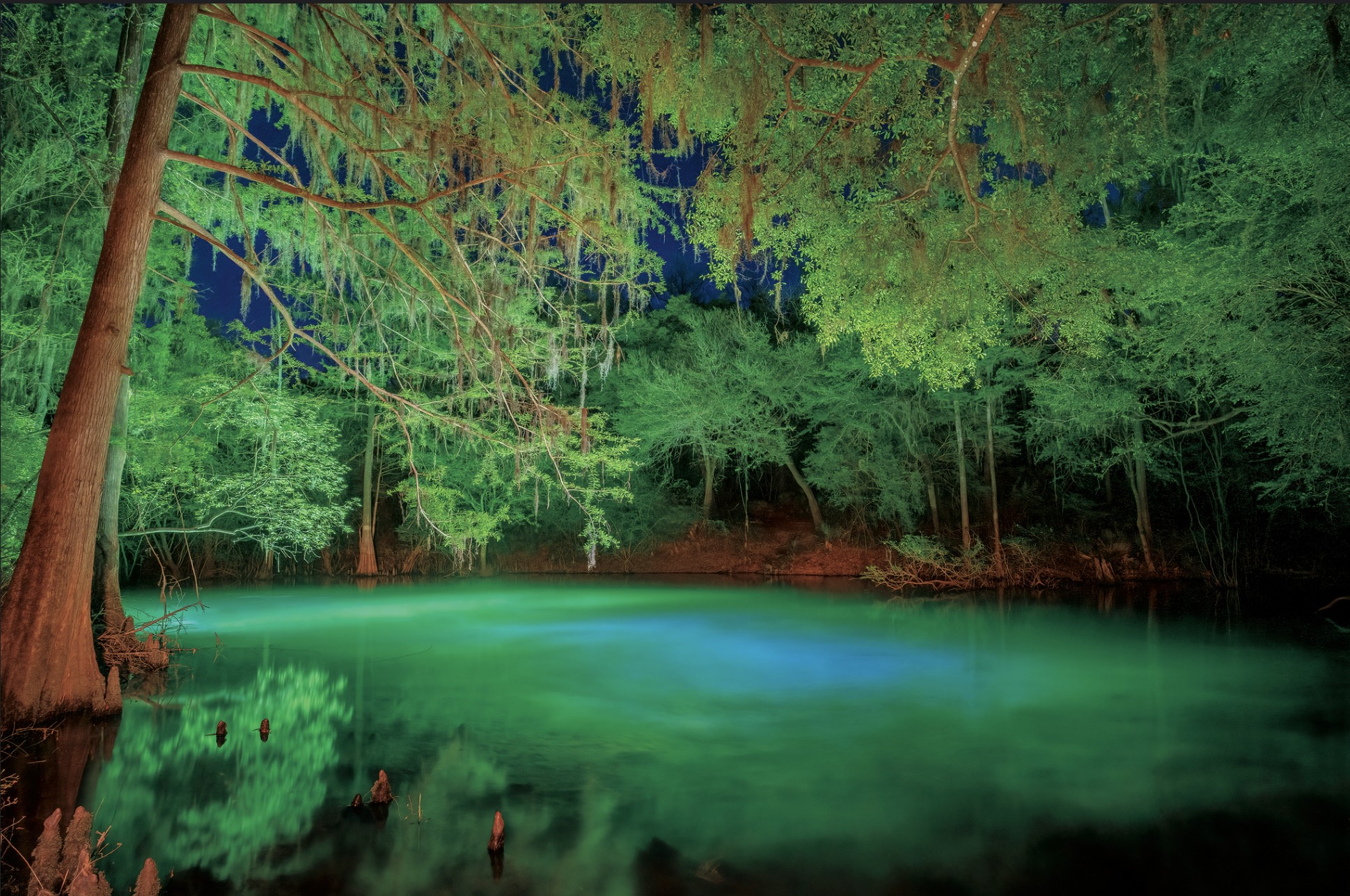 Illuminated Springs Volume 1 Book Photos