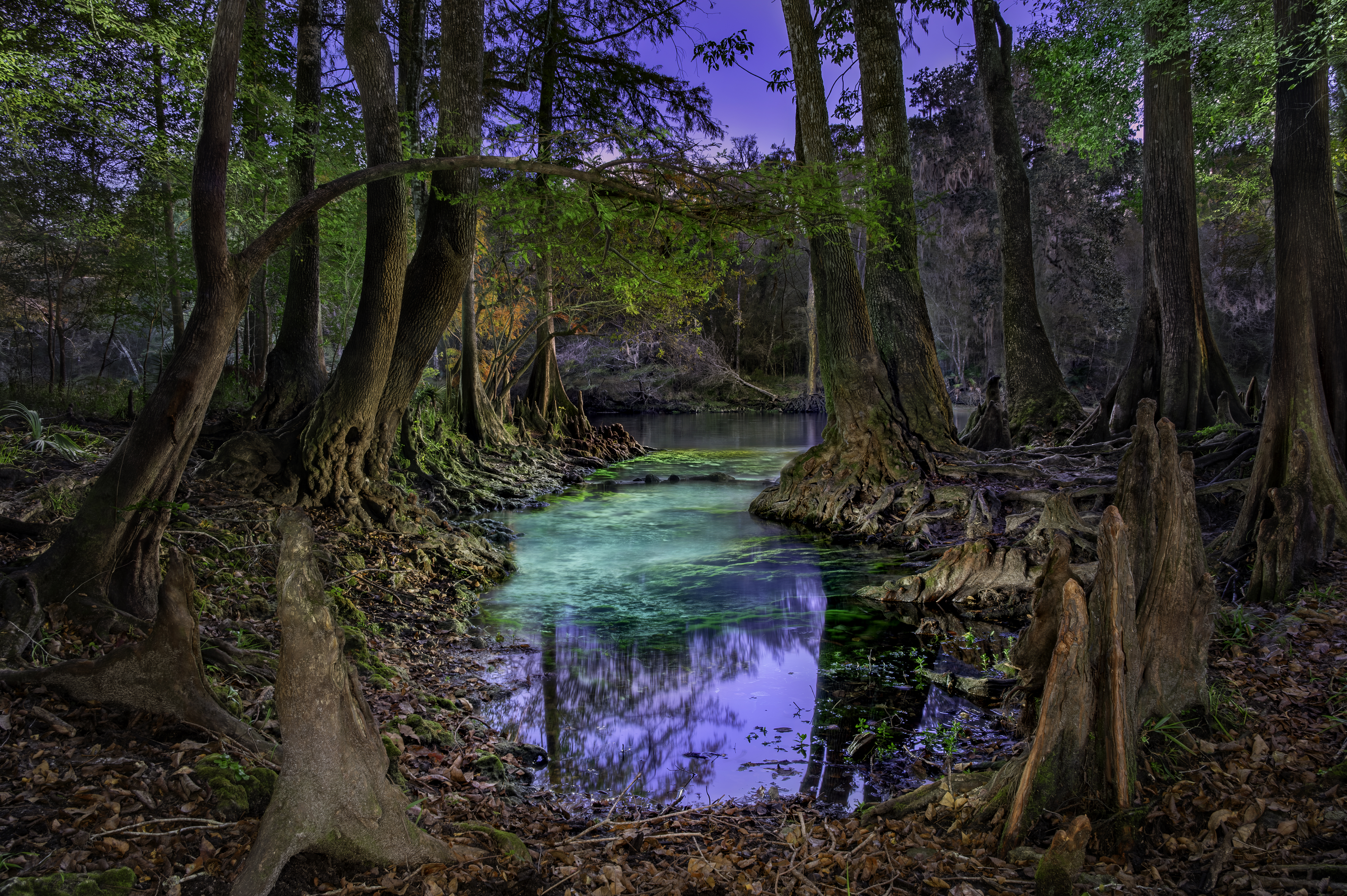 Illuminated Springs Volume 2 Book Photos